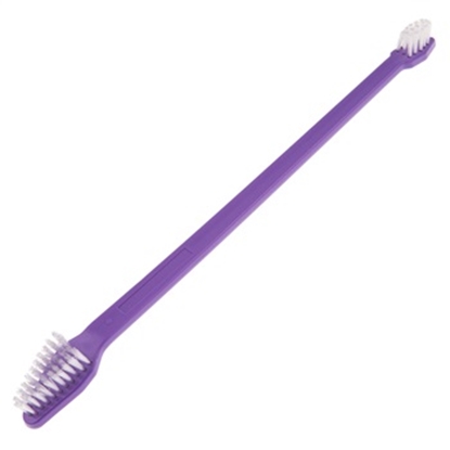 Picture of Pet Care by Groom Professional Dual Ended Toothbrush
